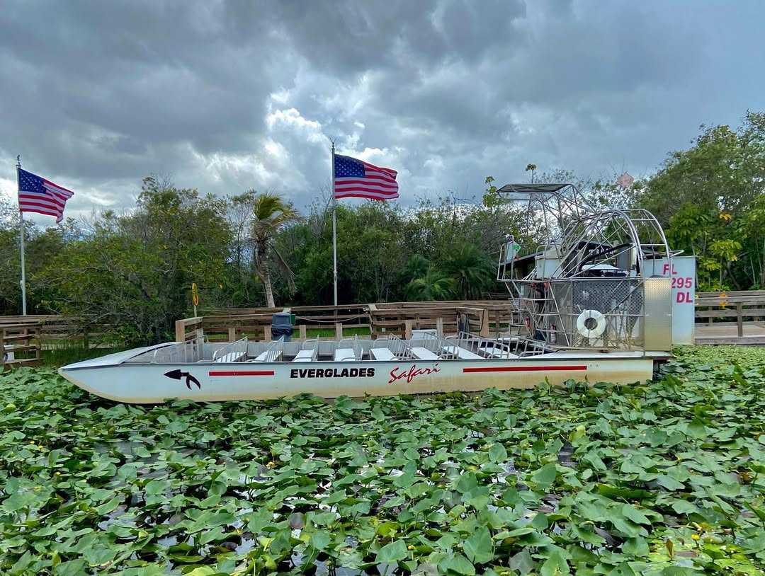 Everglades National Park in Everglades National Park, USA - Travel photography by Rohan Goel