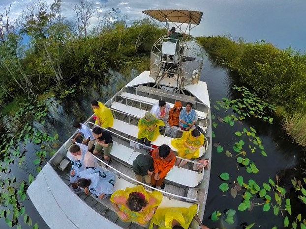 Everglades National Park in Everglades National Park, USA - Travel photography by Rohan Goel