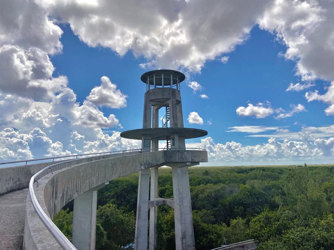 Everglades National Park in Everglades National Park, USA - Travel photography by Rohan Goel