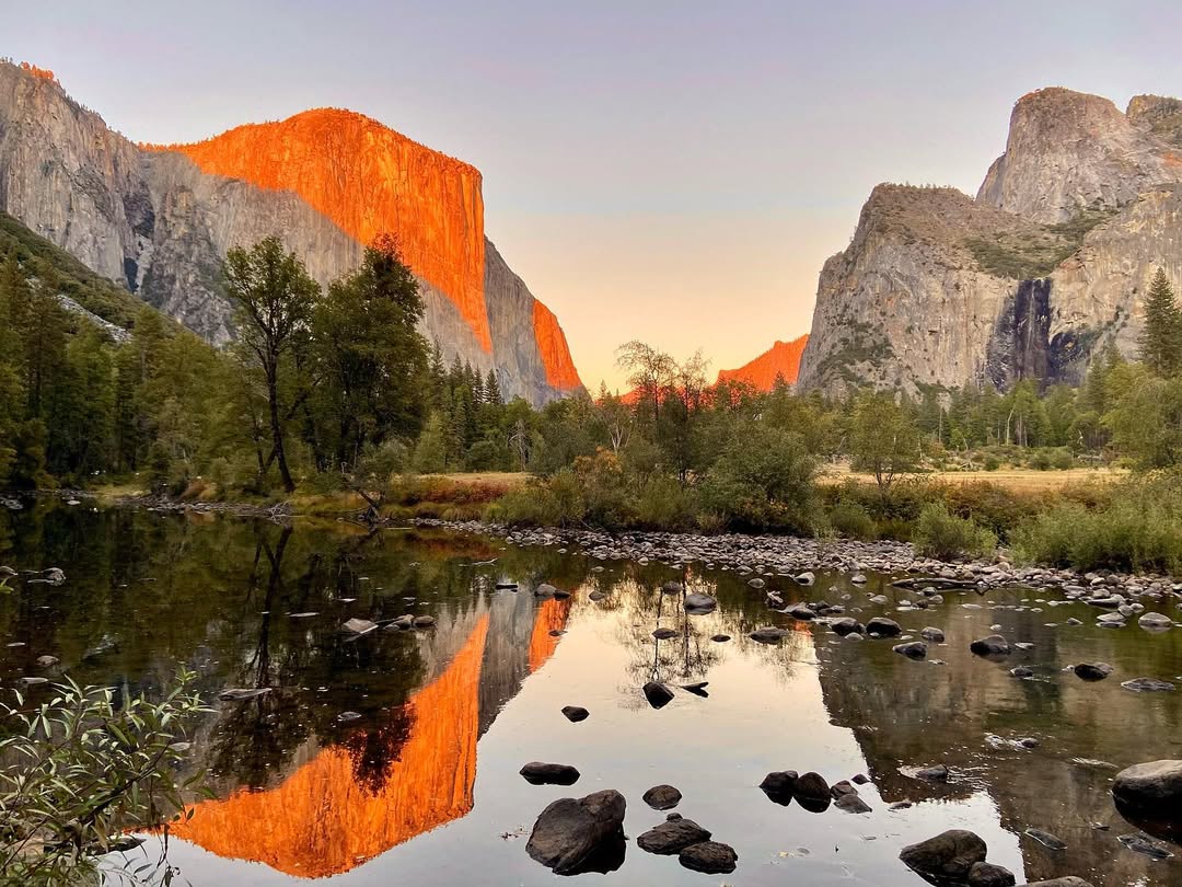 Yappy Yosemite in Yosemite National Park, CA, USA - Travel photography by Rohan Goel