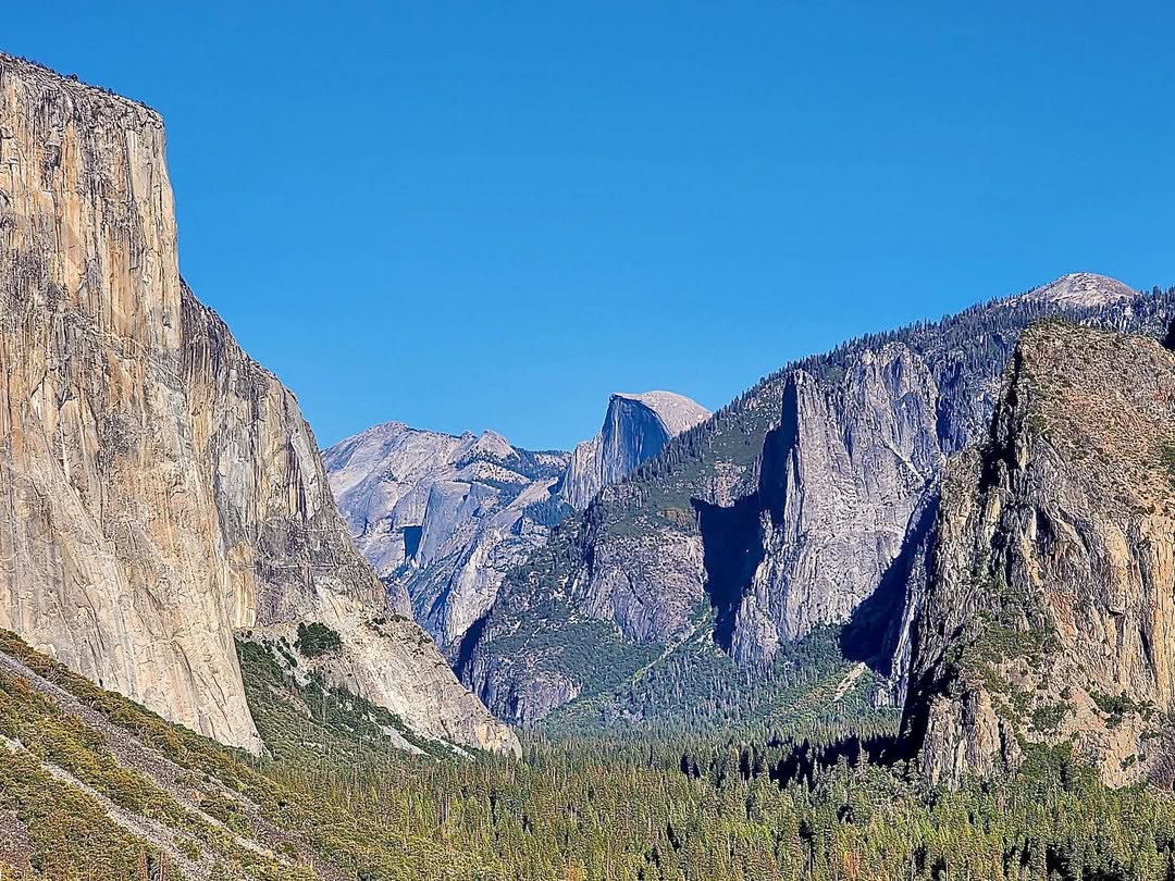 Yappy Yosemite in Yosemite National Park, CA, USA - Travel photography by Rohan Goel