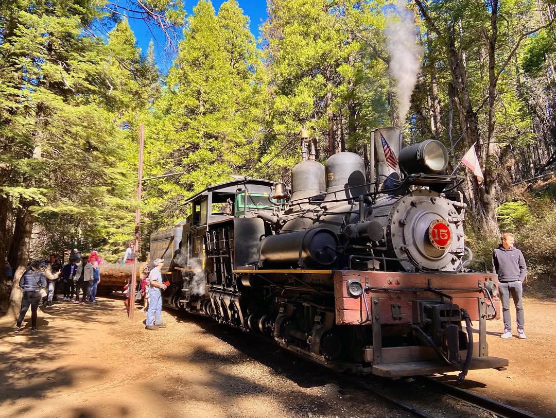 Yappy Yosemite in Yosemite National Park, CA, USA - Travel photography by Rohan Goel
