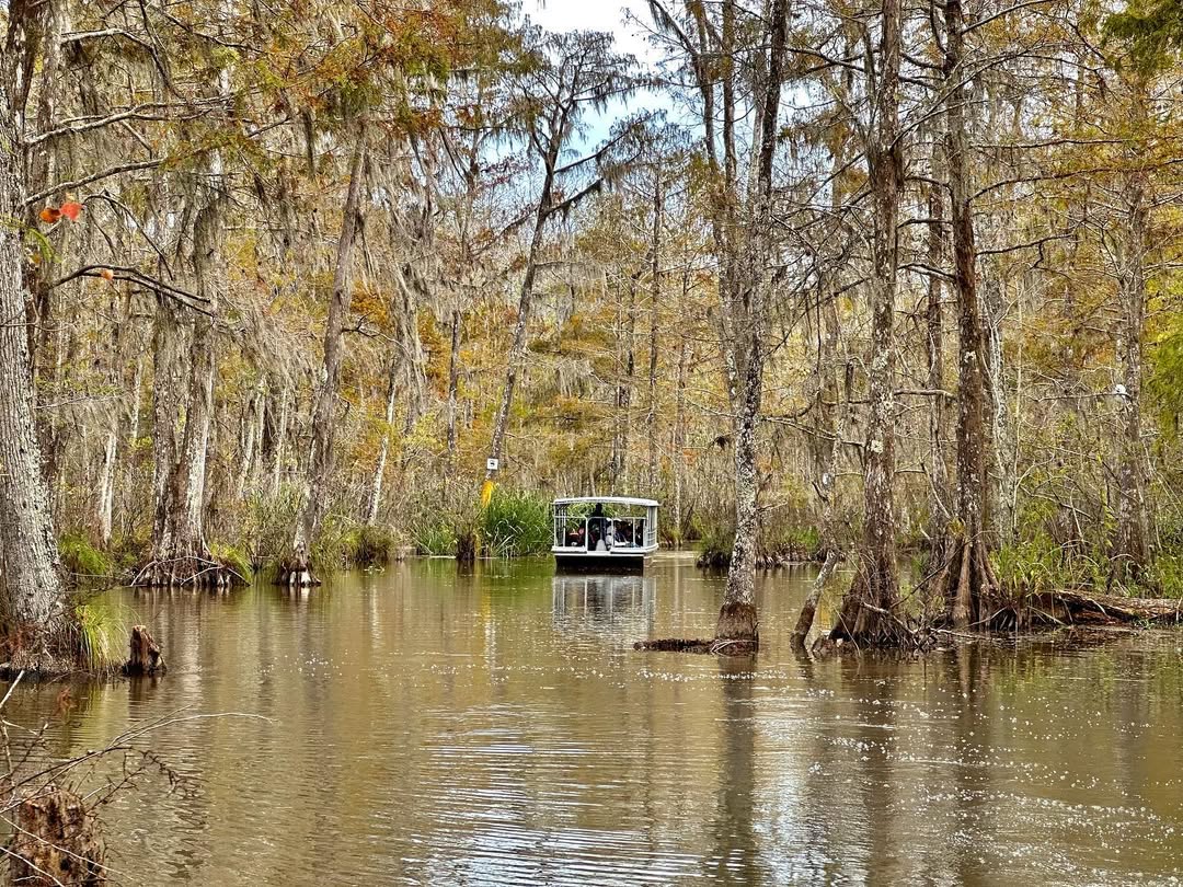 New Orleans in New Orleans, Louisiana, USA - Travel photography by Rohan Goel