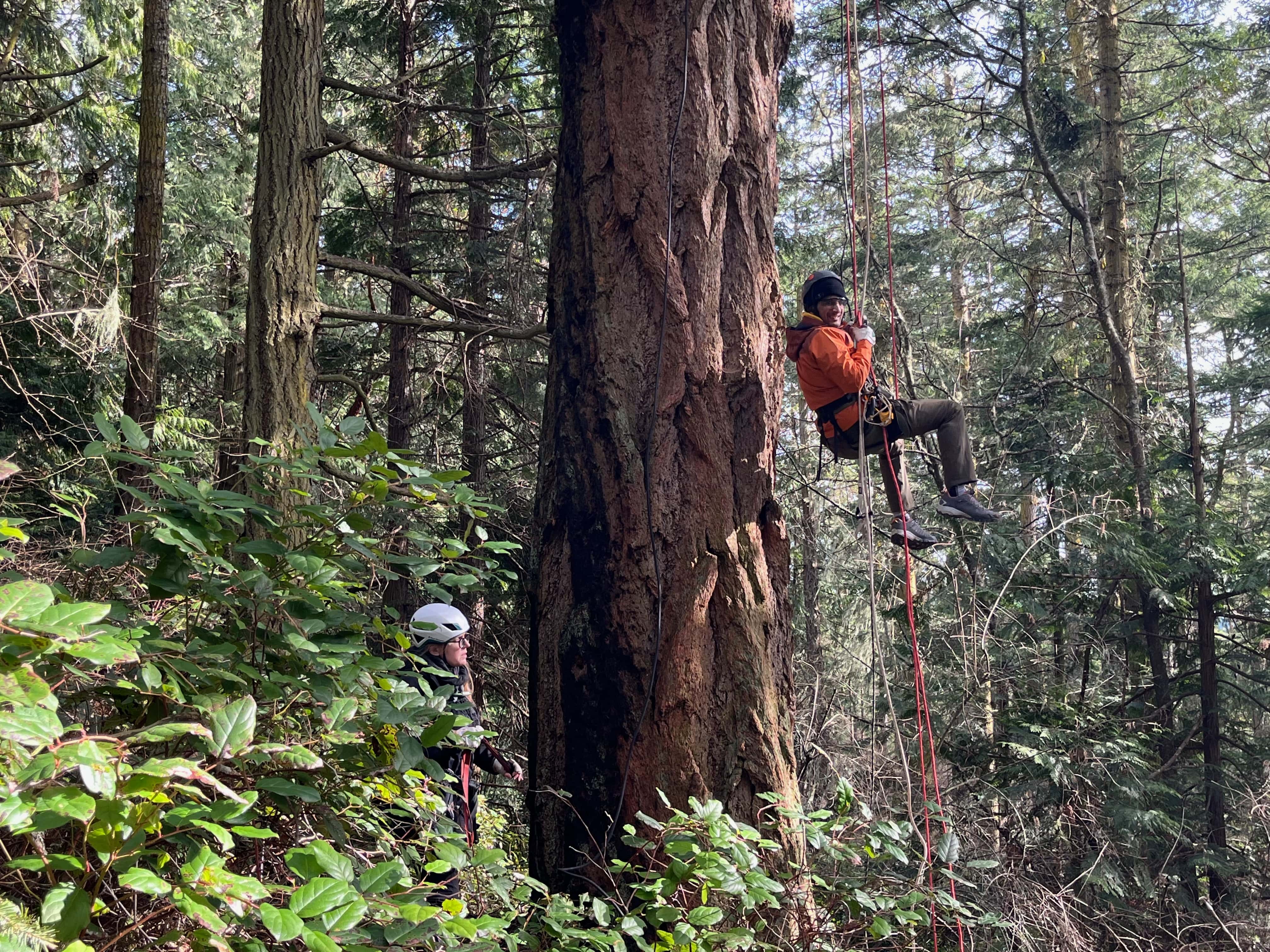 Tree Climbing in Lopez Island - MemExp Blog Tree Climbing in Lopez Island in Lopez Island, WA, USA - Travel photography by Rohan Goel