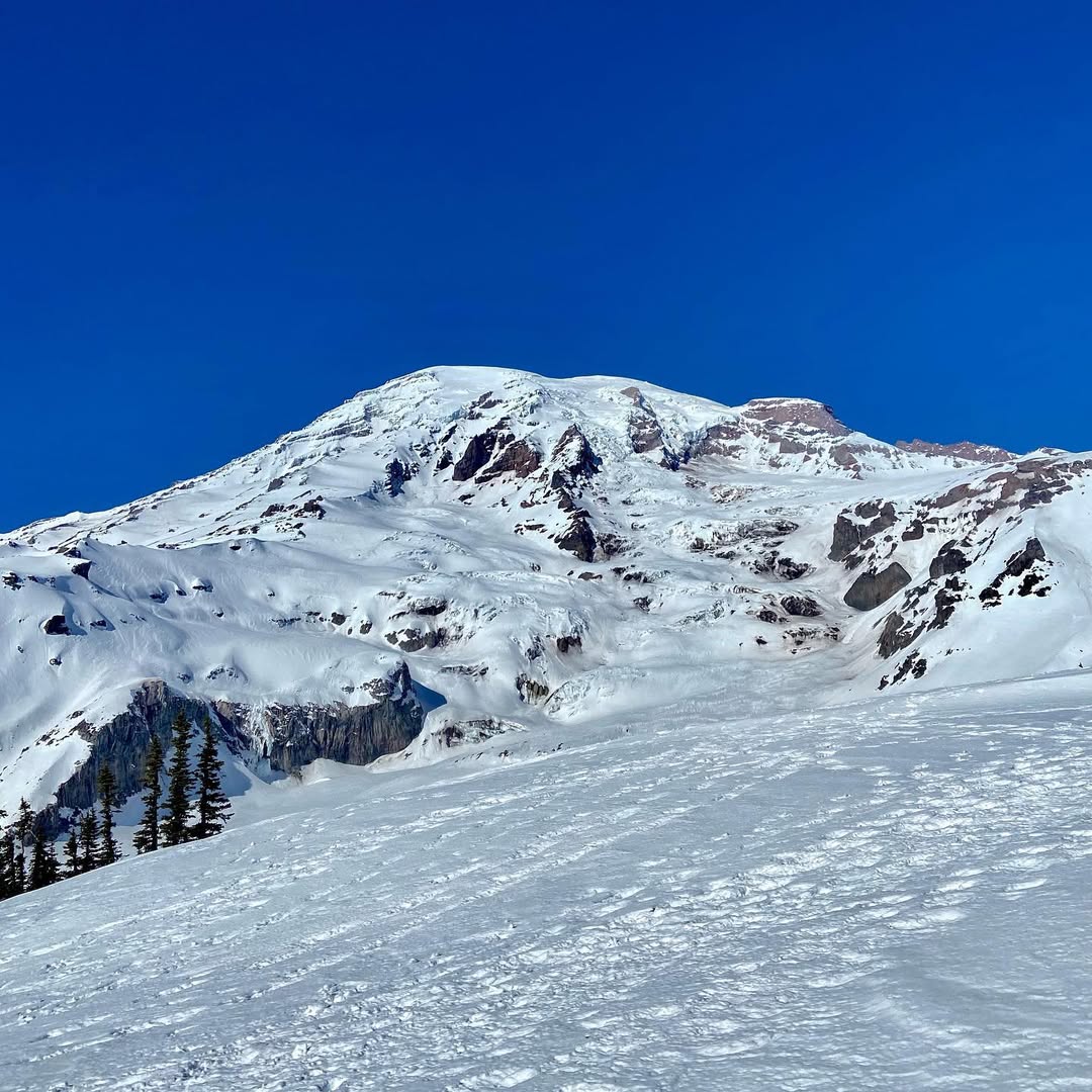 Snowshoeing Mount Rainier. MemExp Blog. Rohan Goel