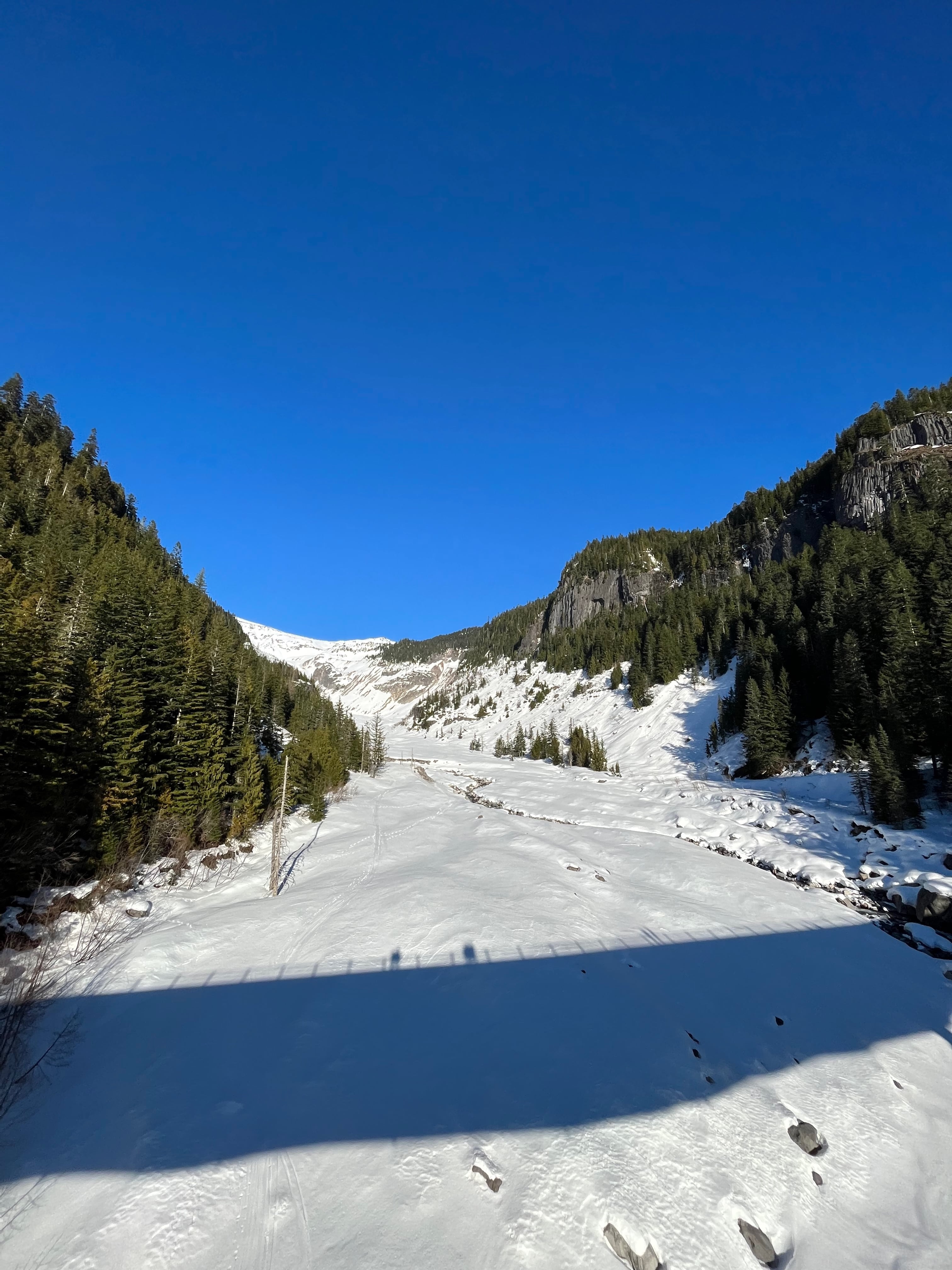 Snowshoeing Mount Rainier. MemExp Blog. Rohan Goel