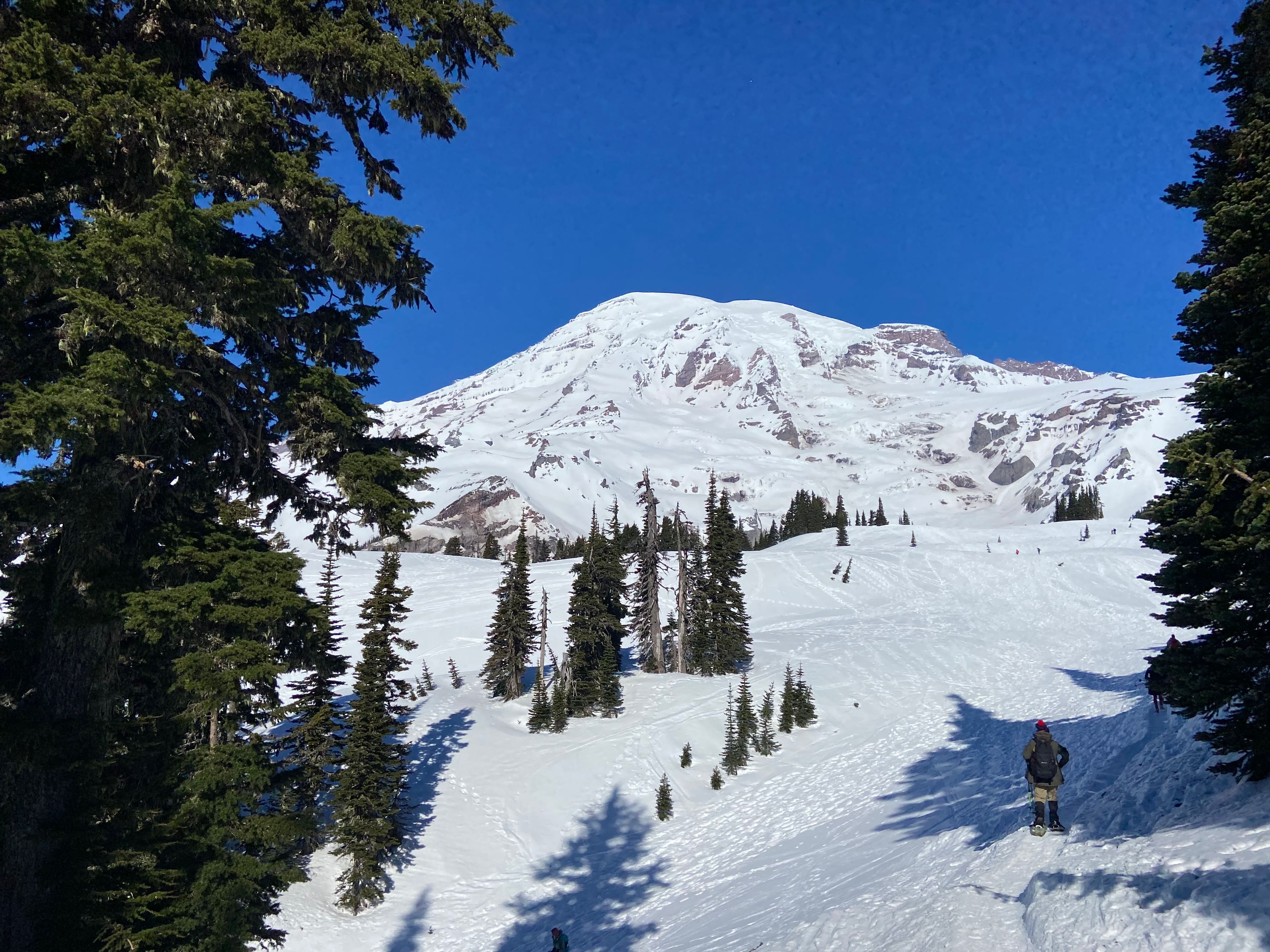 Snowshoeing Mount Rainier. MemExp Blog. Rohan Goel