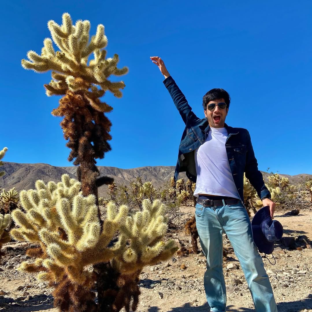 Jolly Joshua - MemExp Blog Jolly Joshua in Joshua Tree National Park, USA - Travel photography by Rohan Goel