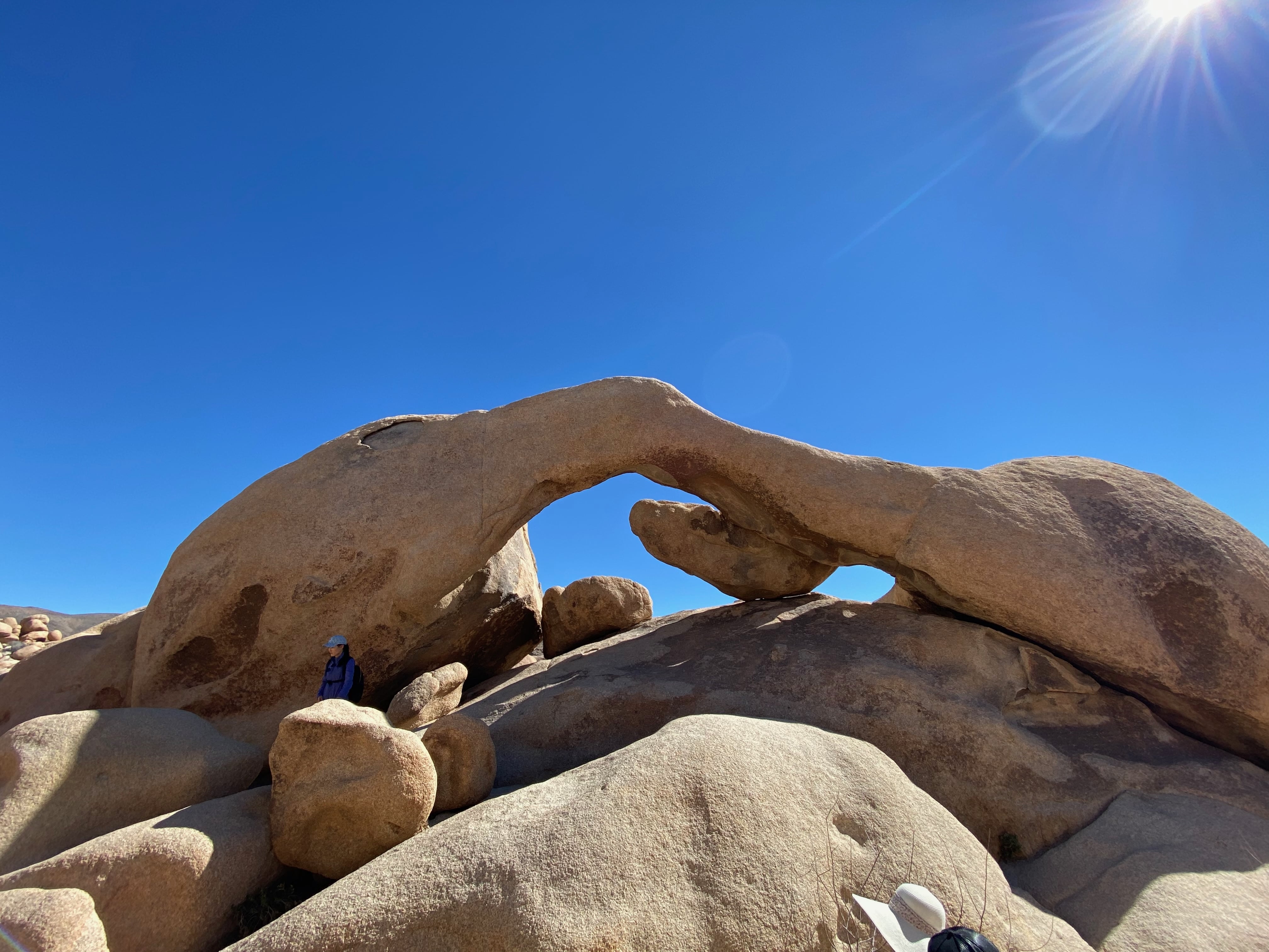 Jolly Joshua - MemExp Blog Jolly Joshua in Joshua Tree National Park, USA - Travel photography by Rohan Goel