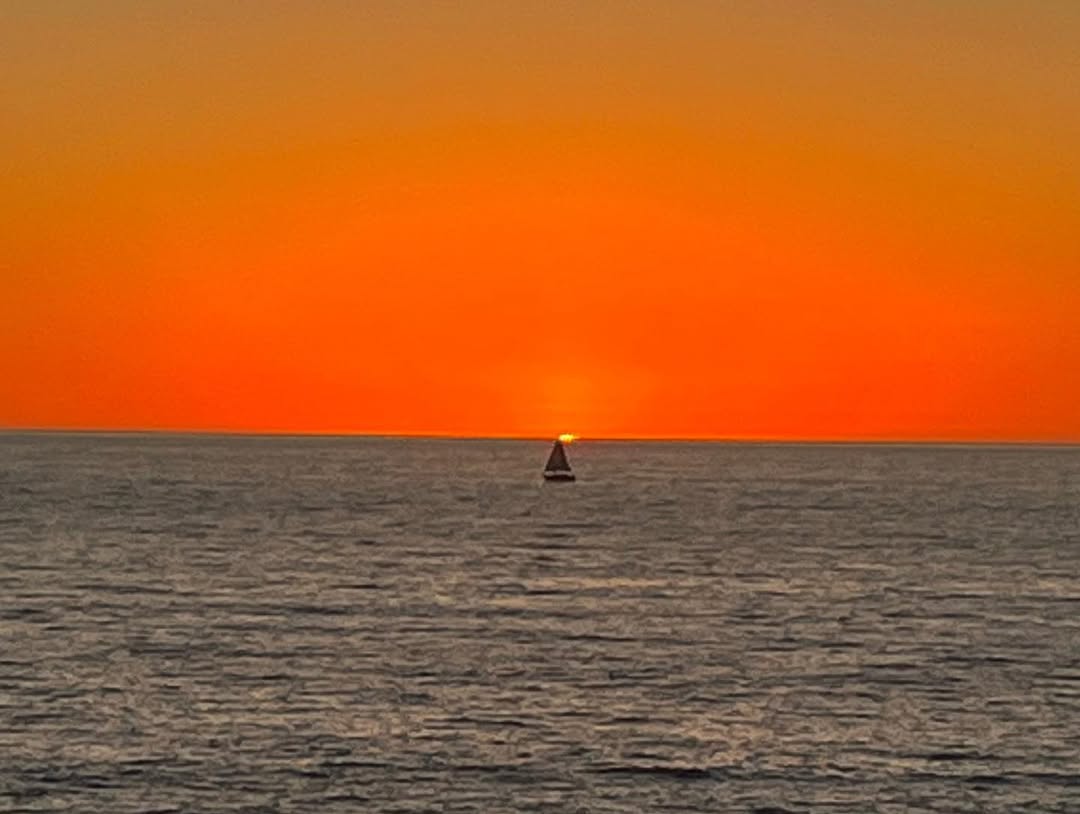 Sunny San Diego in San Diego, California, USA - Travel photography by Rohan Goel
