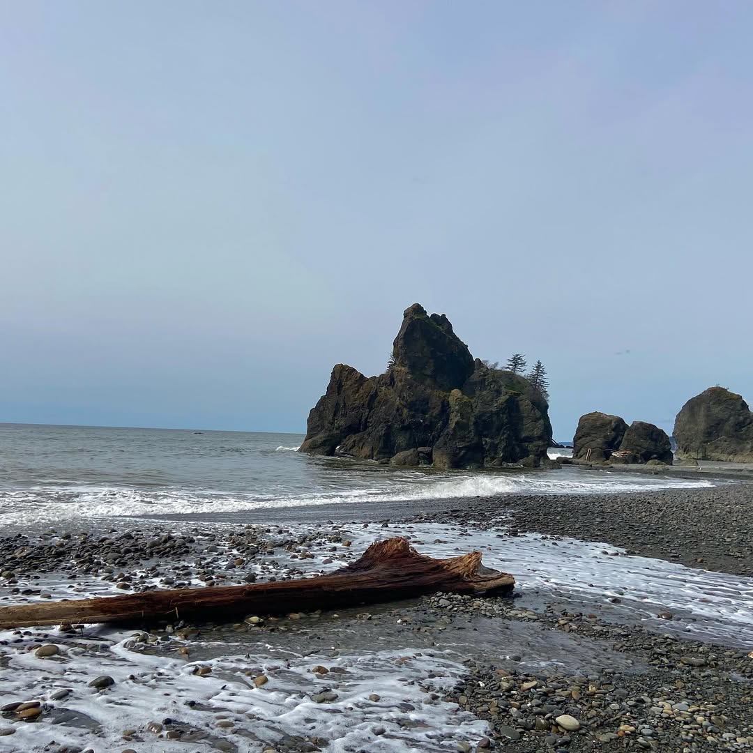 Outstanding Olympic Peninsula in Olympic Peninsula, WA, USA - Travel photography by Rohan Goel