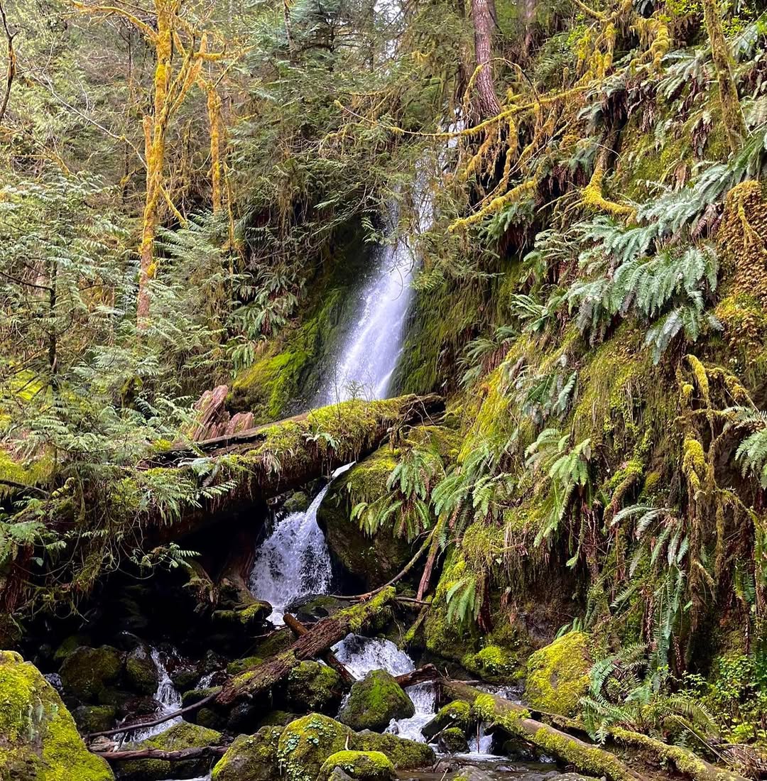 Outstanding Olympic Peninsula in Olympic Peninsula, WA, USA - Travel photography by Rohan Goel