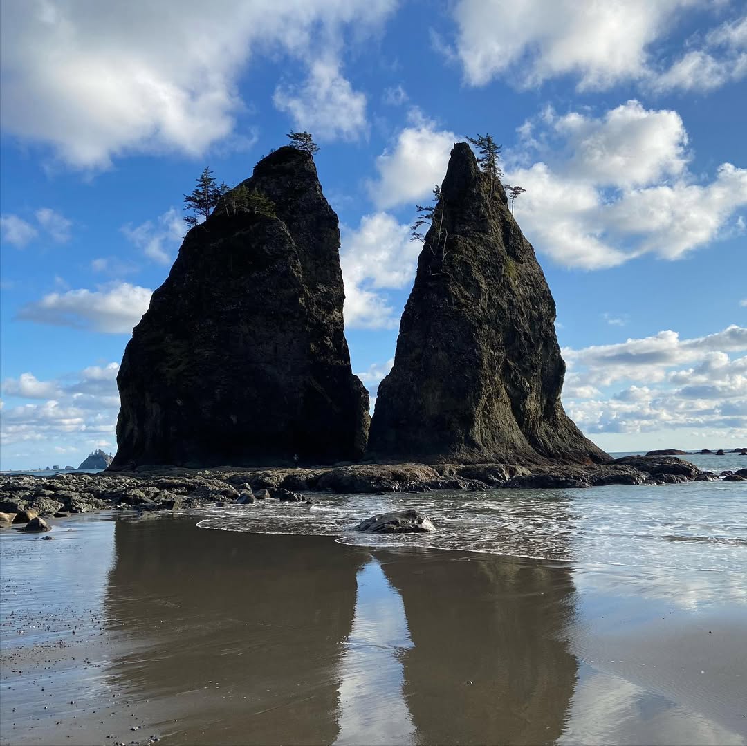 Outstanding Olympic Peninsula in Olympic Peninsula, WA, USA - Travel photography by Rohan Goel