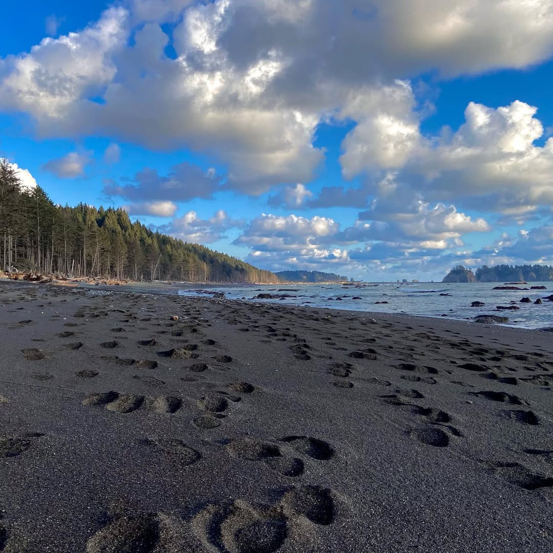 Outstanding Olympic Peninsula in Olympic Peninsula, WA, USA - Travel photography by Rohan Goel