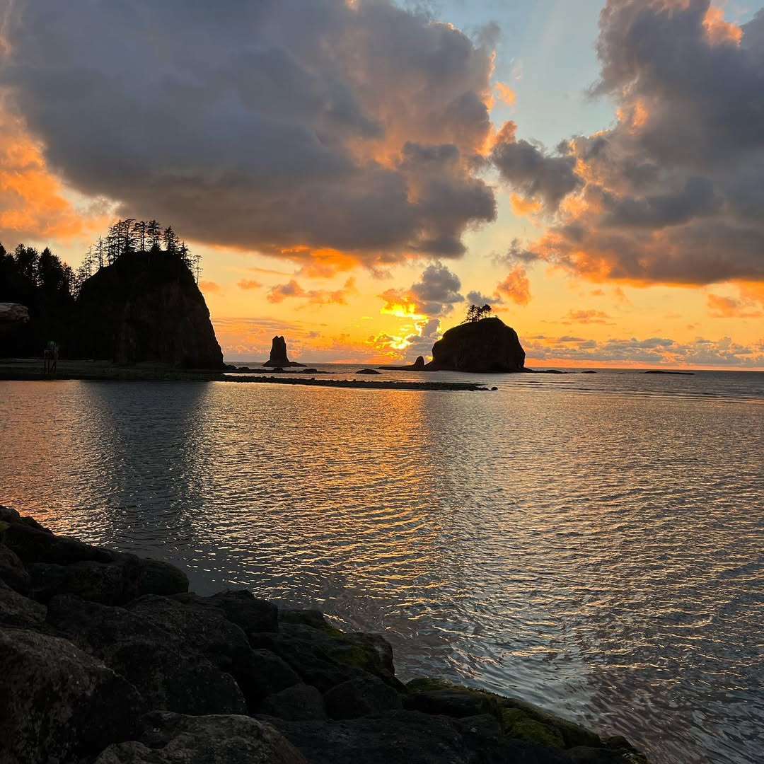 Outstanding Olympic Peninsula in Olympic Peninsula, WA, USA - Travel photography by Rohan Goel
