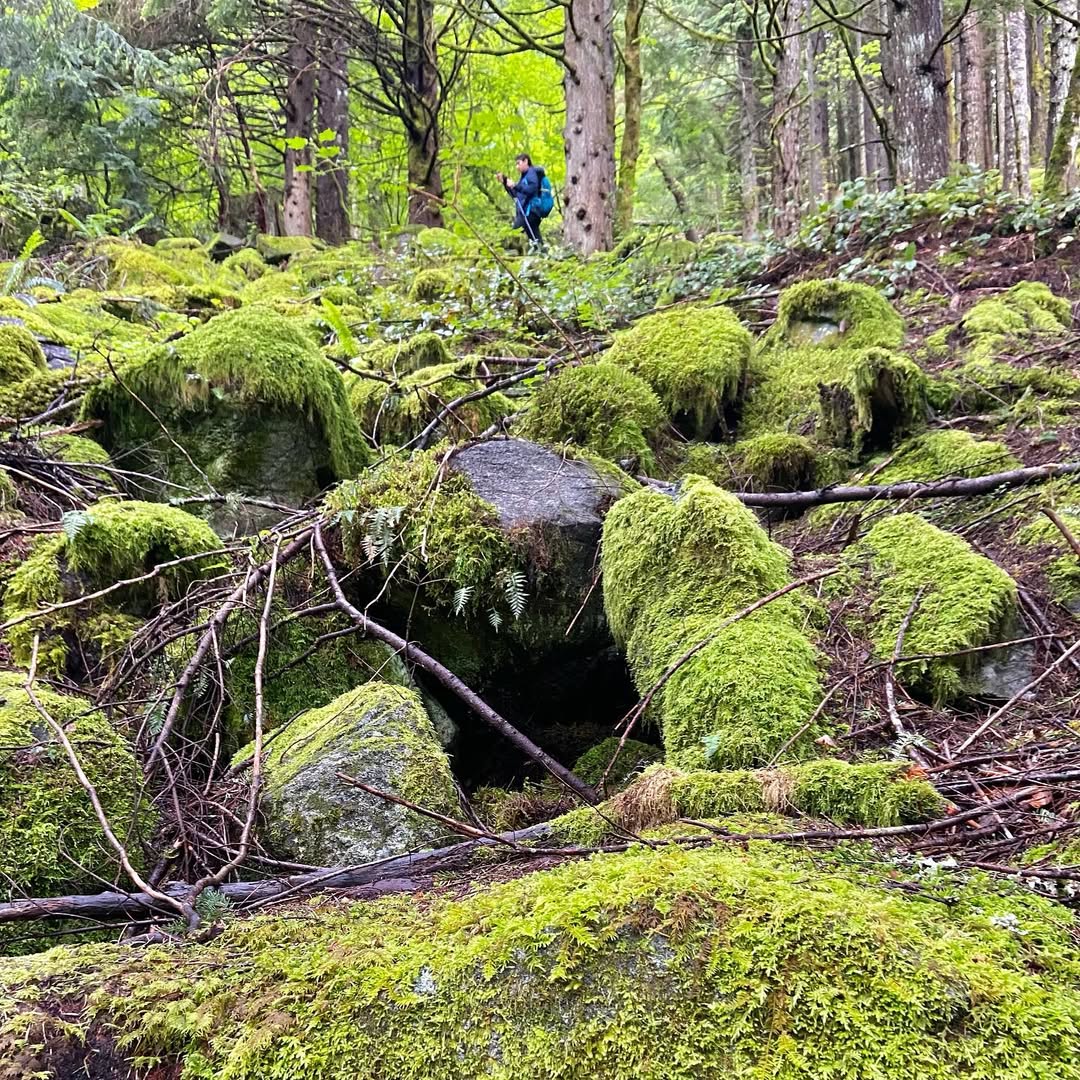 Dirty Harry Balcony Trail in North Bend, WA, USA - Travel photography by Rohan Goel