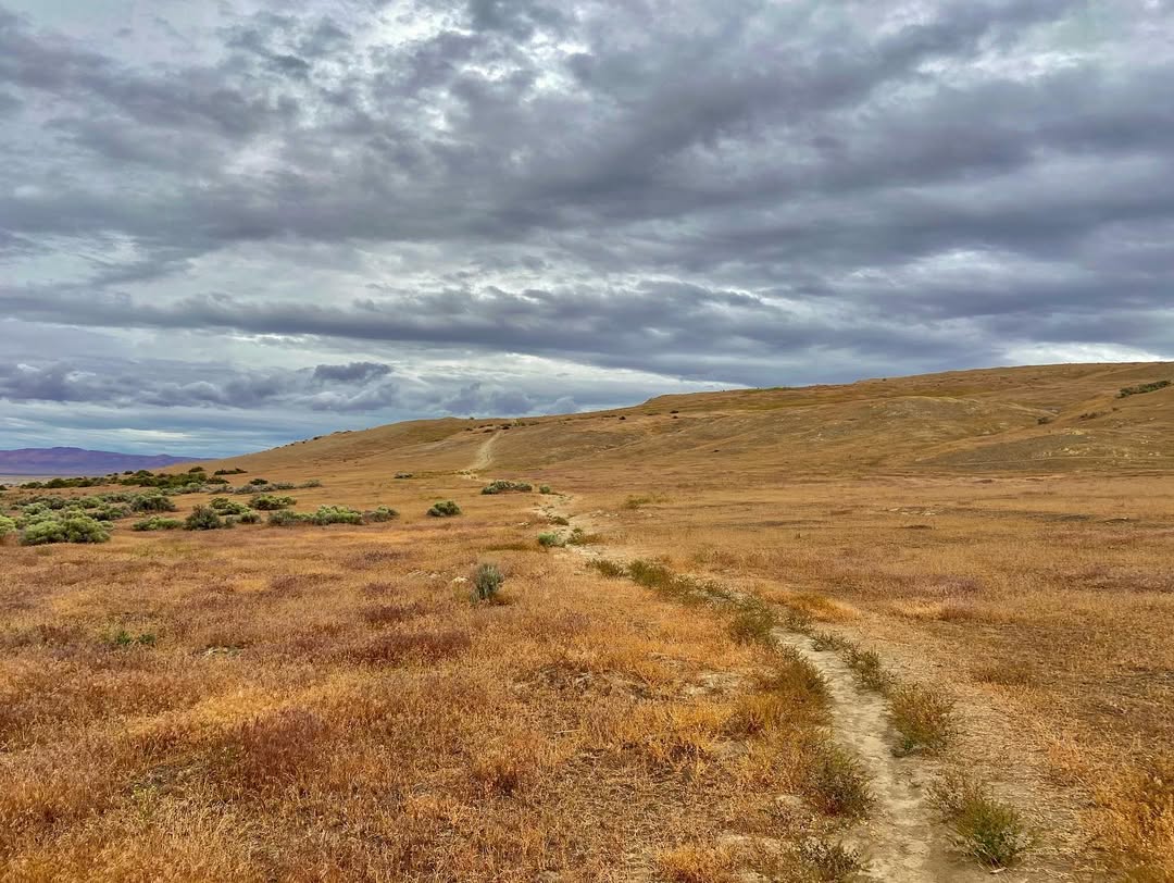 Hanford Reach in Hanford Reach National Monument, WA, USA - Travel photography by Rohan Goel