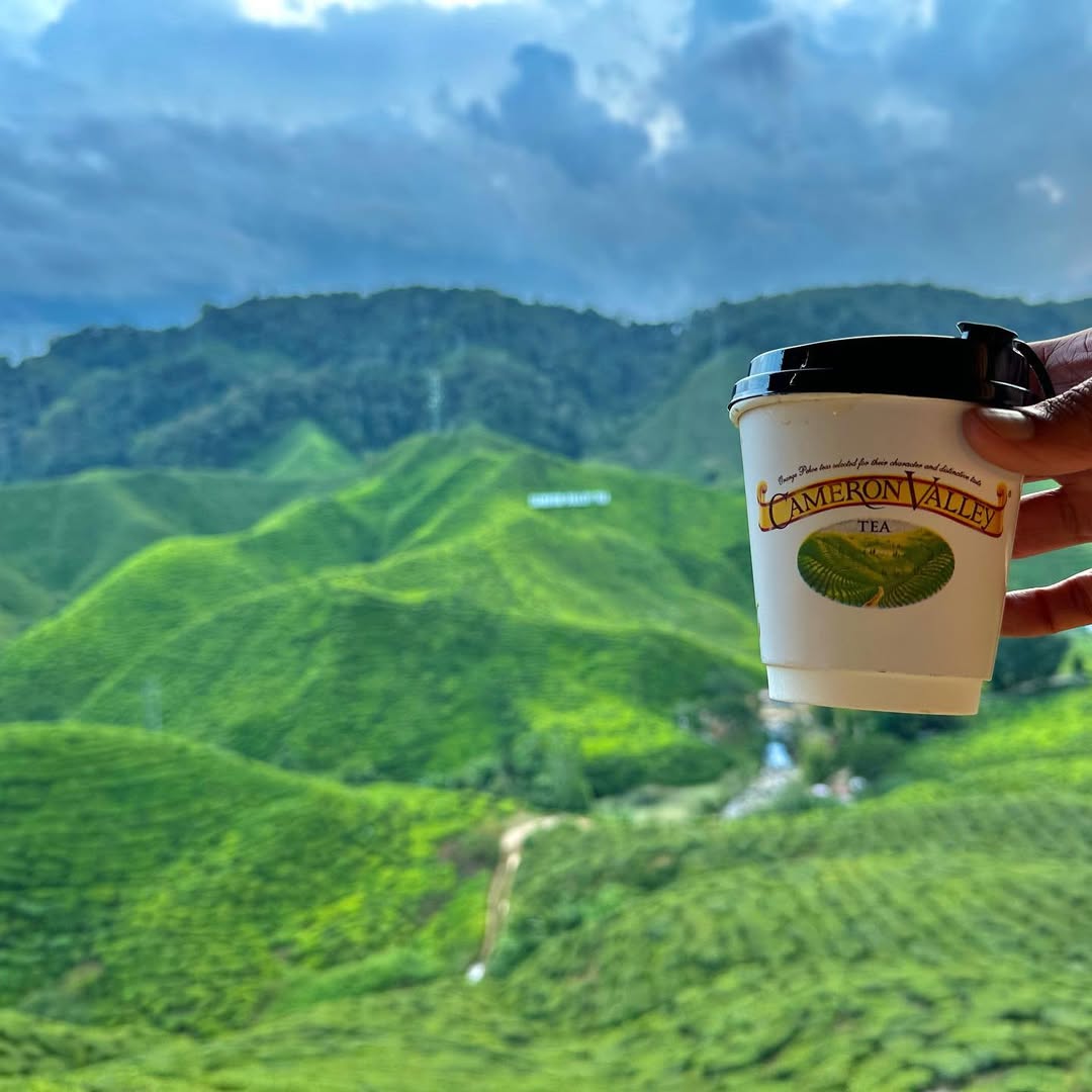Classy Cameron Highlands in Cameron Highlands, Pahang, Malaysia, Malaysia - Travel photography by Rohan Goel