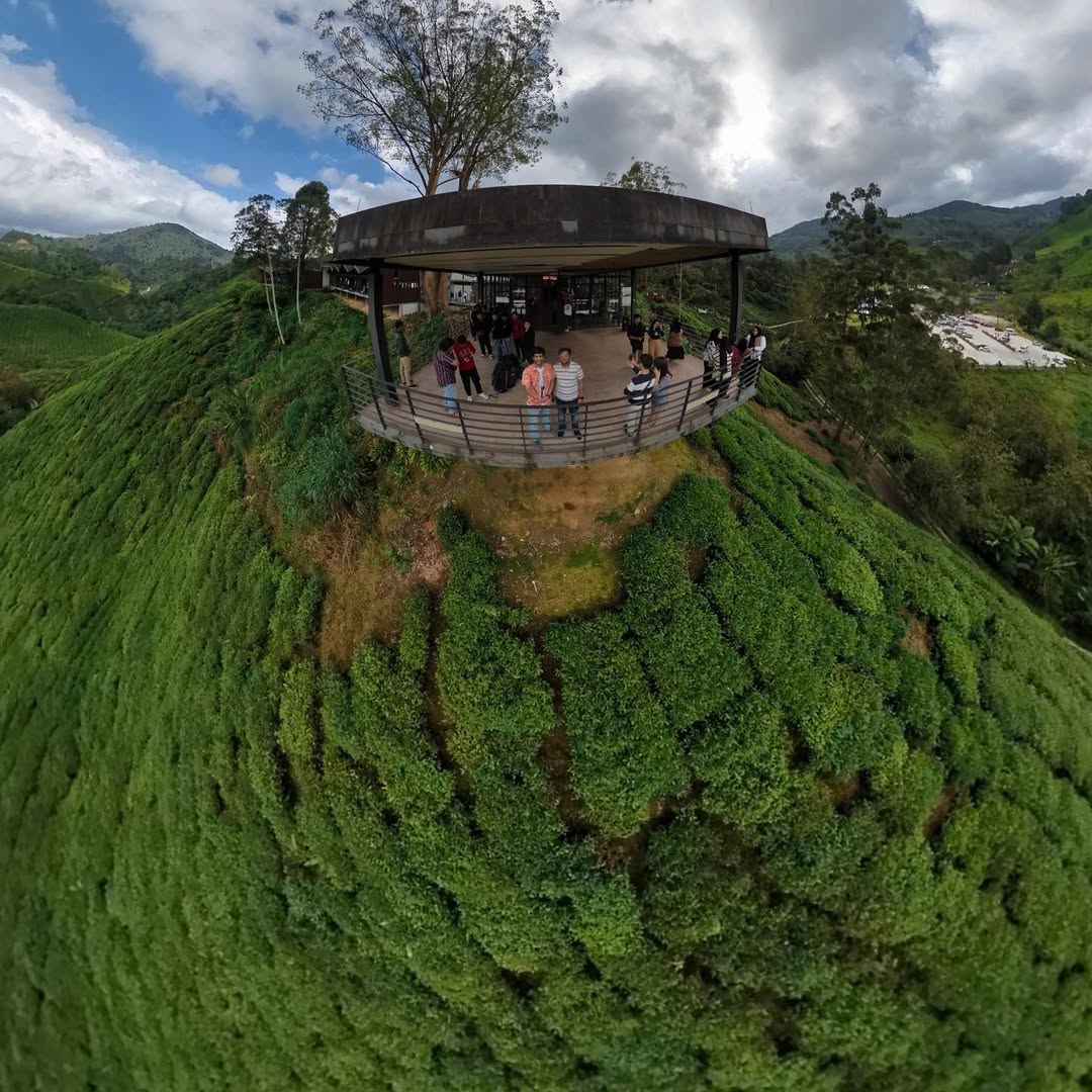 Classy Cameron Highlands in Cameron Highlands, Pahang, Malaysia, Malaysia - Travel photography by Rohan Goel