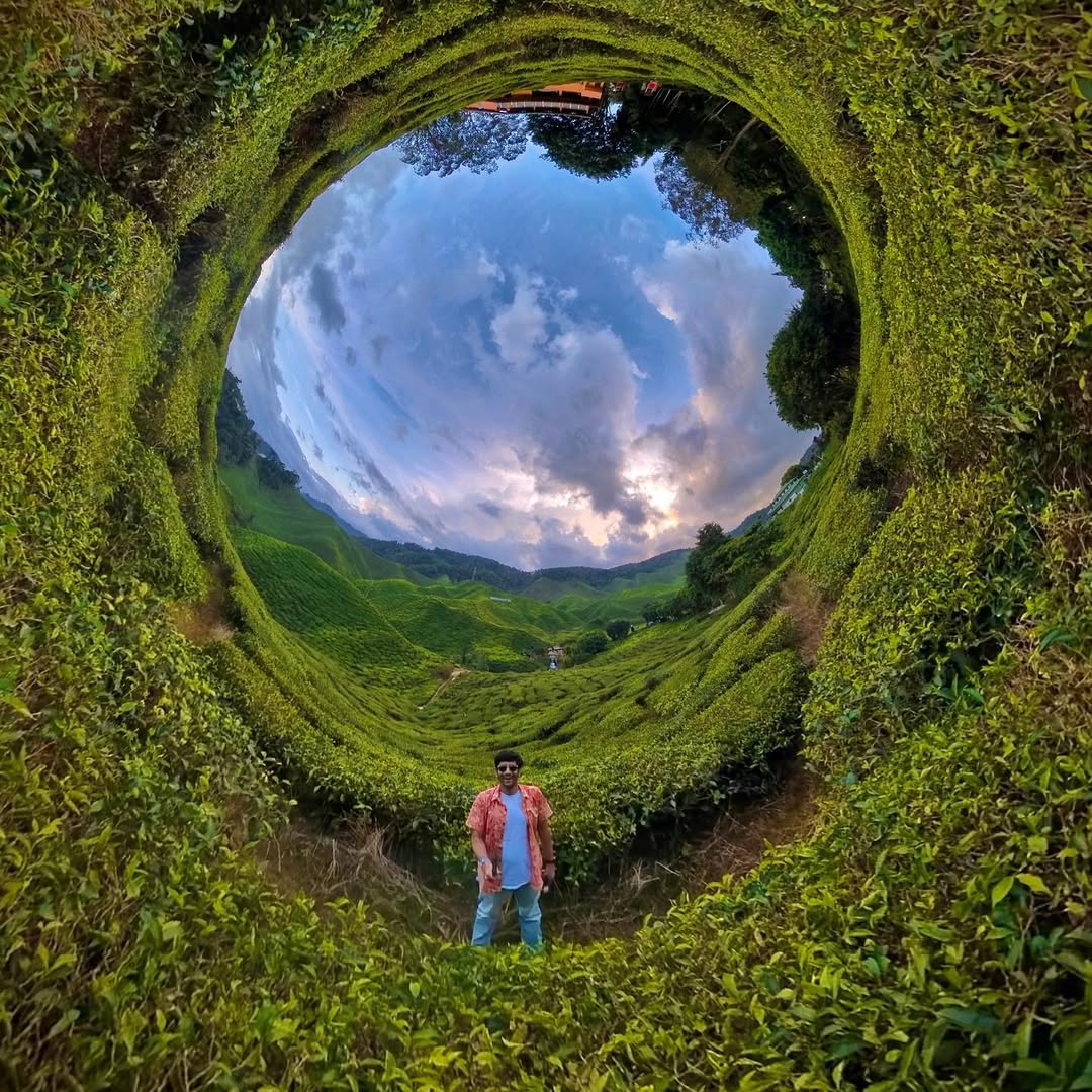 Classy Cameron Highlands in Cameron Highlands, Pahang, Malaysia, Malaysia - Travel photography by Rohan Goel