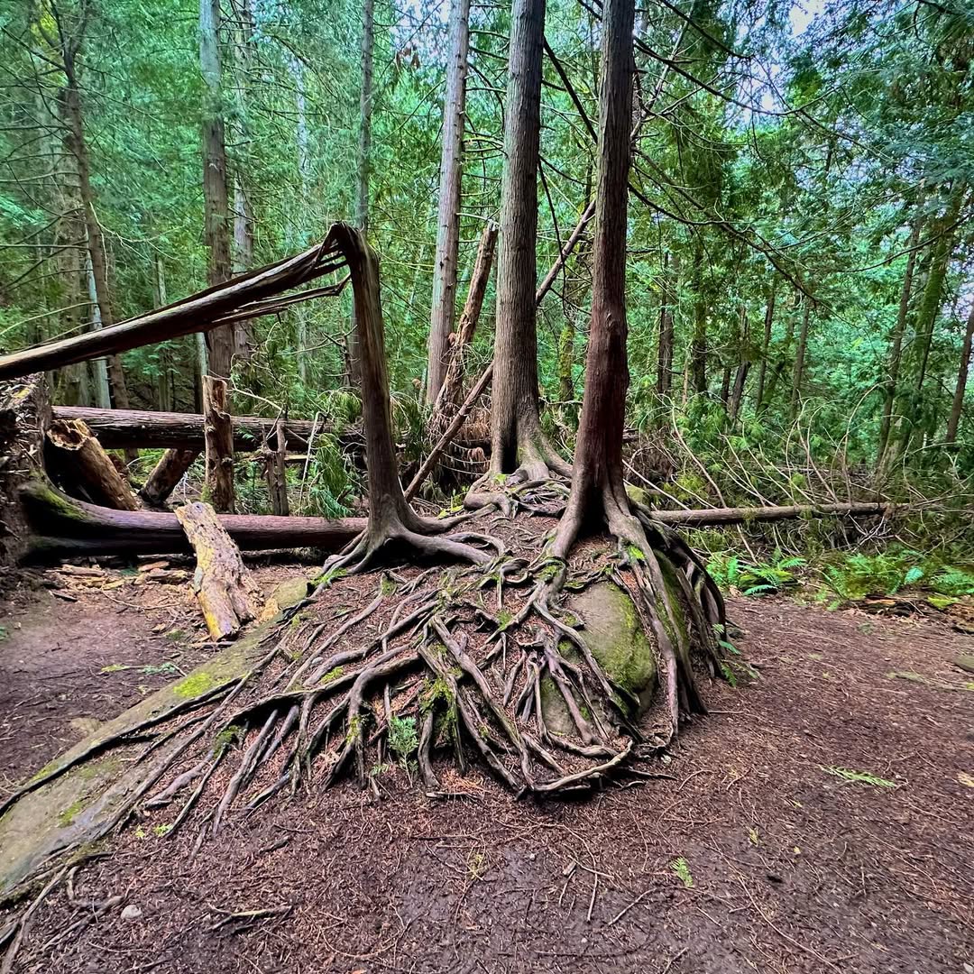 Fragrance Lake in Fragrance Lake, USA - Travel photography by Rohan Goel