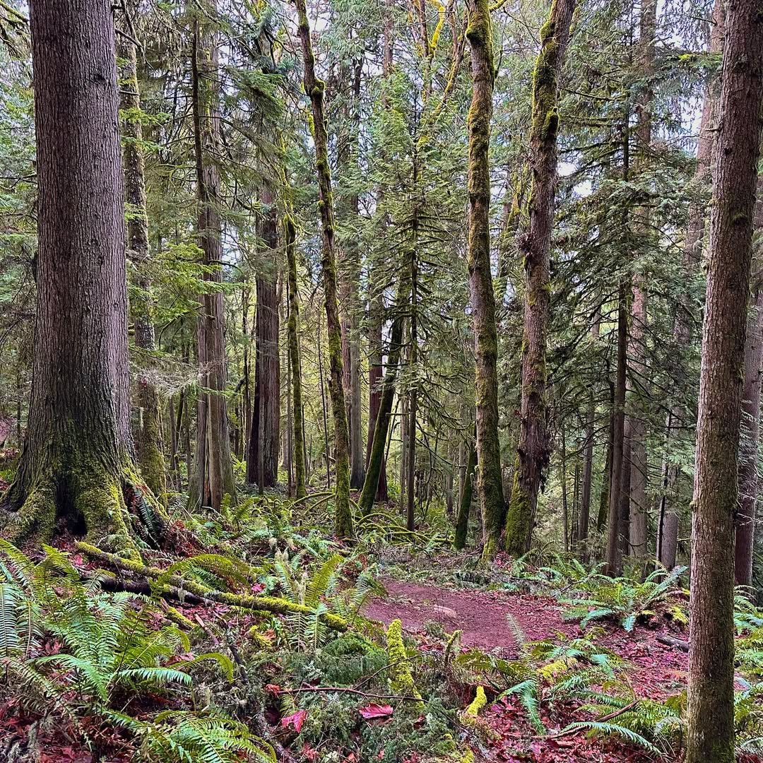 Fragrance Lake in Fragrance Lake, USA - Travel photography by Rohan Goel