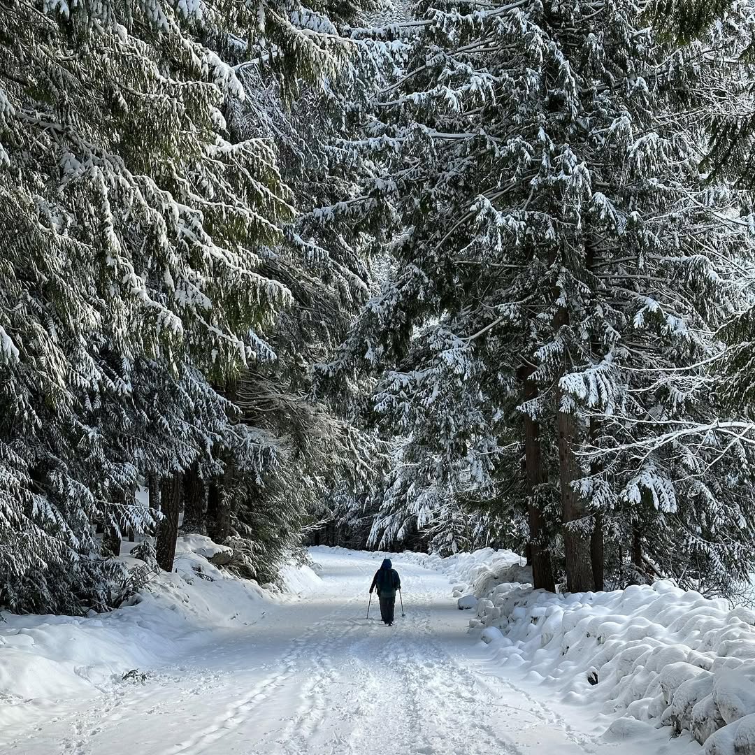 Frozen Franklin Falls in WA, USA - Travel photography by Rohan Goel