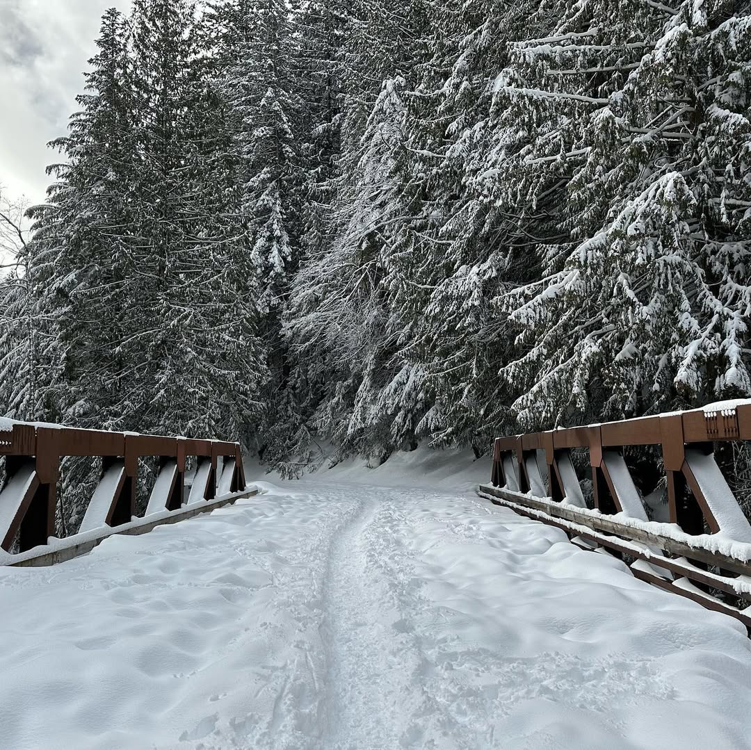 Frozen Franklin Falls in WA, USA - Travel photography by Rohan Goel