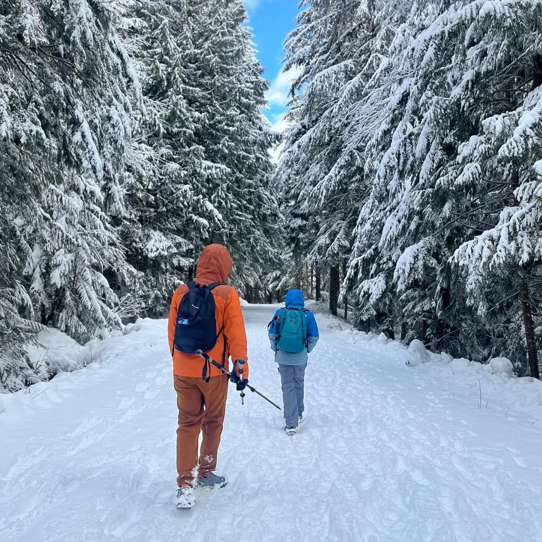 Frozen Franklin Falls in WA, USA - Travel photography by Rohan Goel