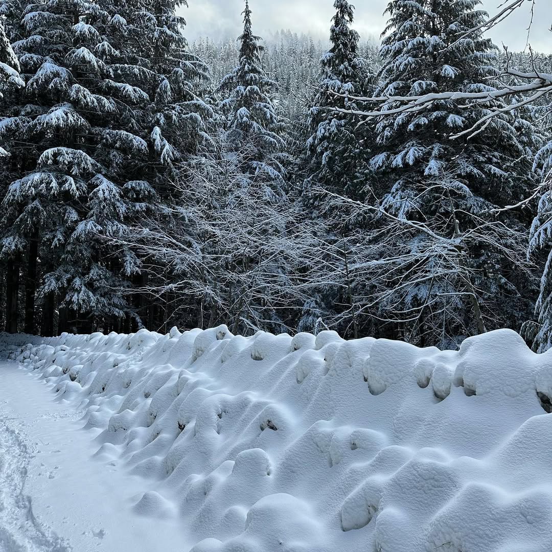 Frozen Franklin Falls in WA, USA - Travel photography by Rohan Goel
