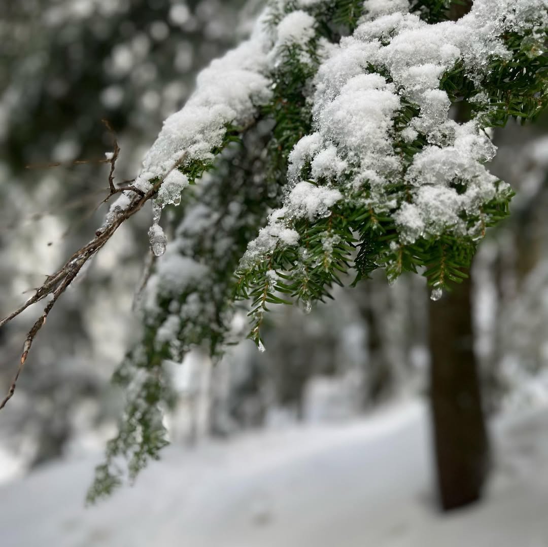 Frozen Franklin Falls in WA, USA - Travel photography by Rohan Goel