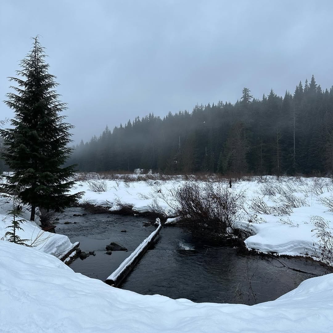 Gold Creek Pond in Gold Creek Pond Trail, USA - Travel photography by Rohan Goel
