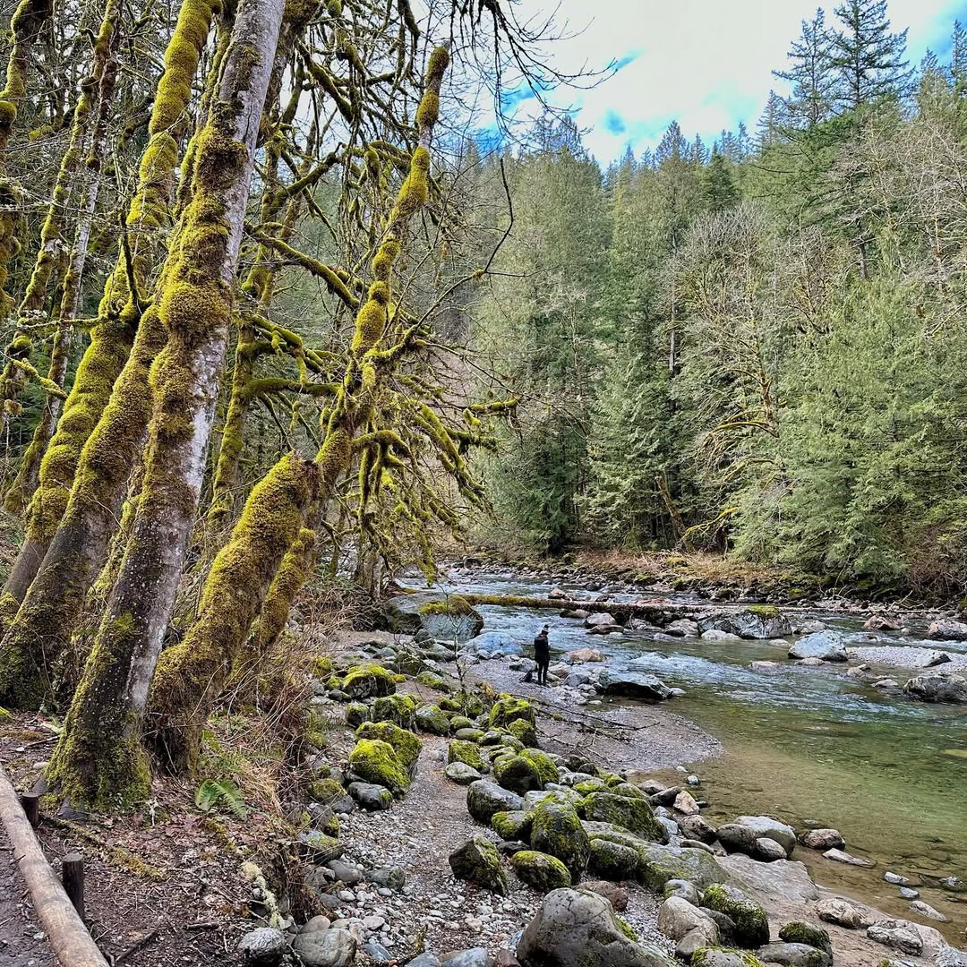 Tall Twin Falls in Twin Falls State Park, USA - Travel photography by Rohan Goel