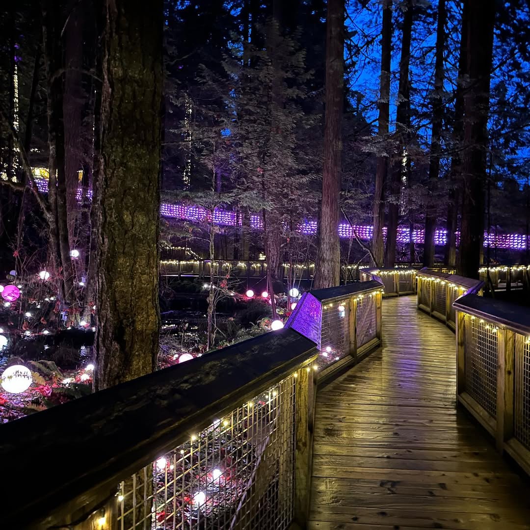 Vancouver in Vancouver, British Columbia, Canada - Travel photography by Rohan Goel