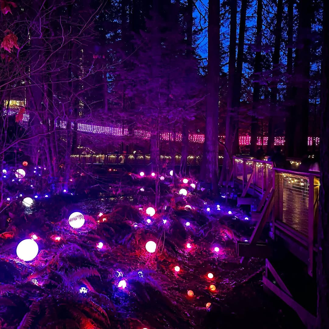 Vancouver in Vancouver, British Columbia, Canada - Travel photography by Rohan Goel