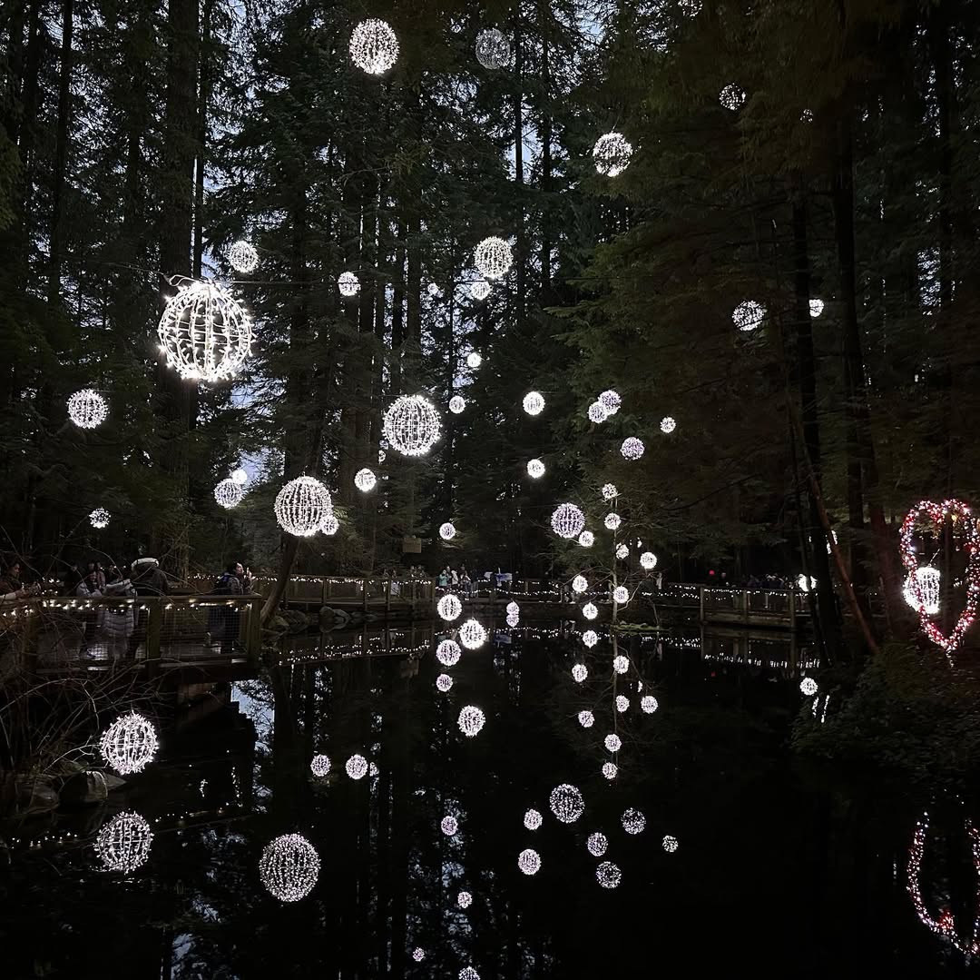 Vancouver in Vancouver, British Columbia, Canada - Travel photography by Rohan Goel