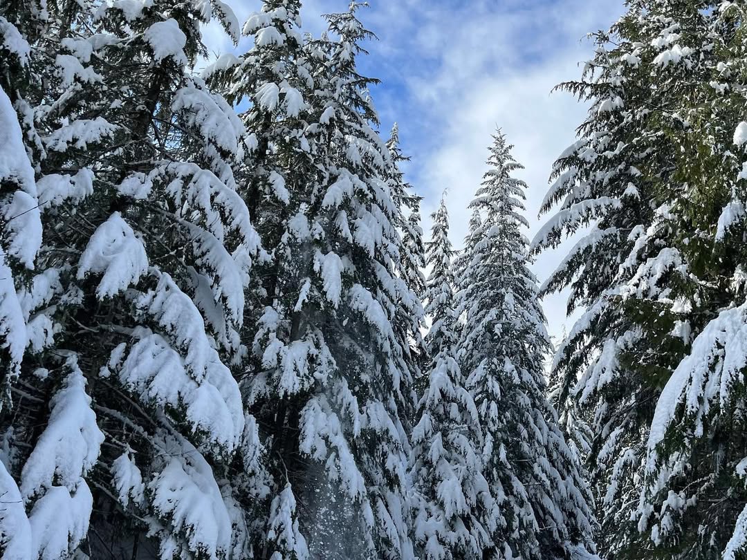WOW Whistler in Whistler Village, Canada - Travel photography by Rohan Goel