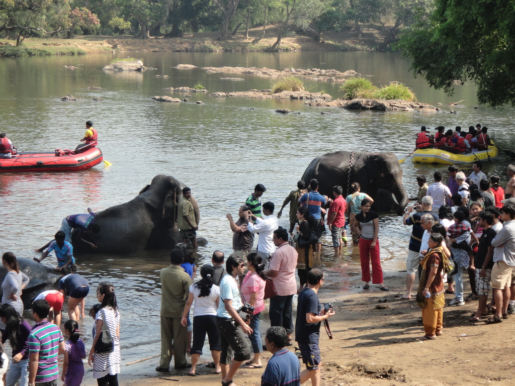 Coorg via Mysore. Coorg + Mysore. MemExp Blog