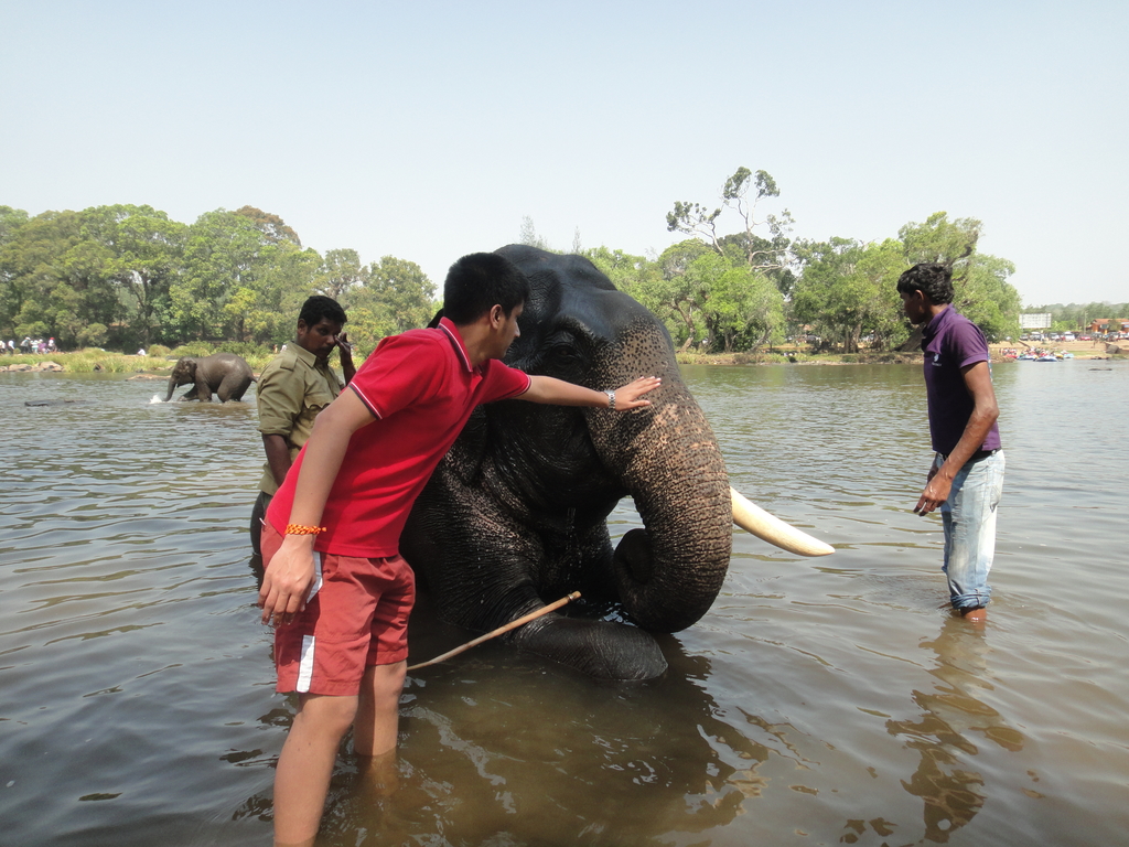 Coorg via Mysore. Coorg + Mysore. MemExp Blog