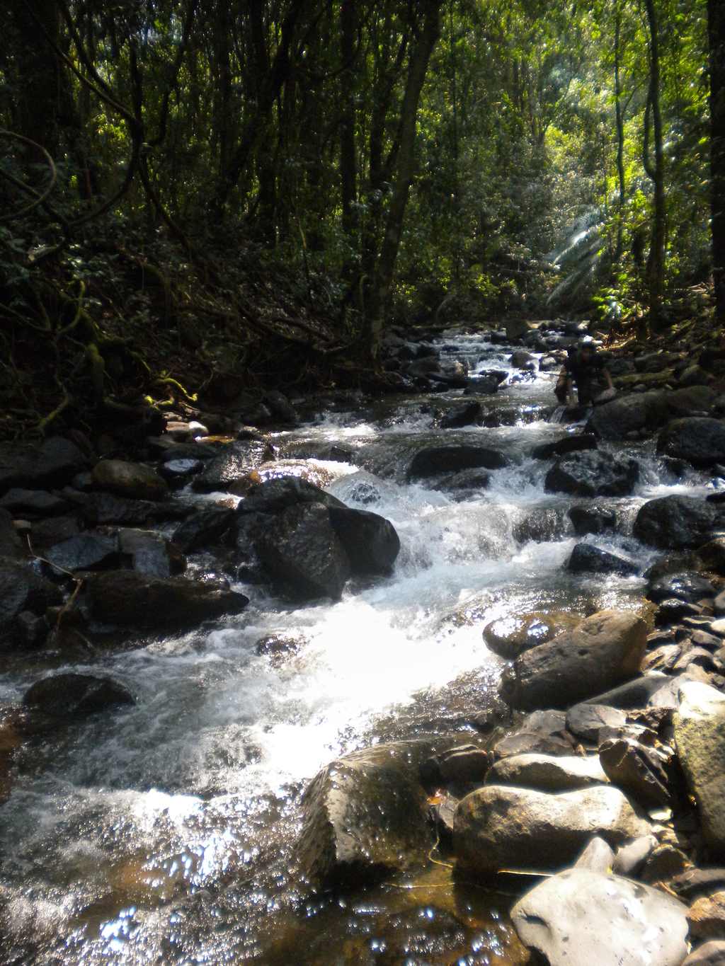 Netravali Fall Trek. Netravali, Goa. MemExp Blog