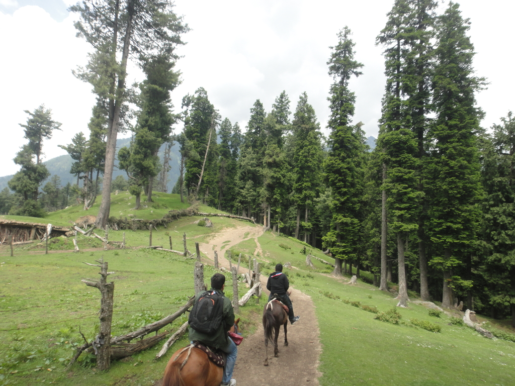 Kashmir - Paradise on Earth. Kashmir + Jammu + VaishnoDevi. MemExp Blog