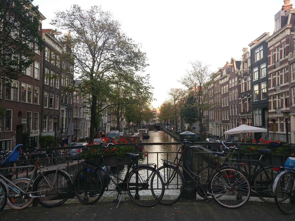 Amsterdam, the city of freedom?. Amsterdam. MemExp Blog