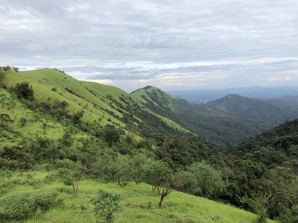 kodachadri clouds