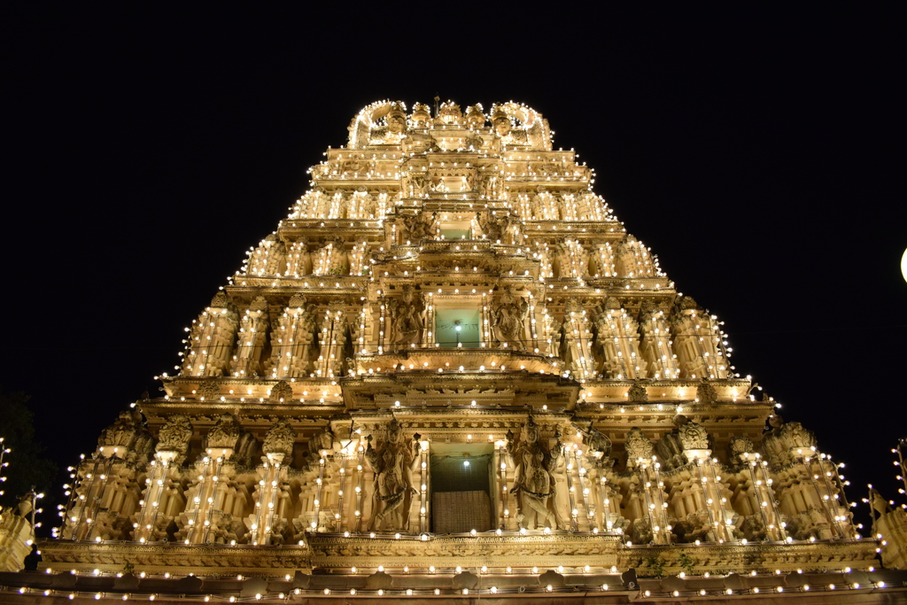 Mysore Dasara. MemExp Blog. Rohan Goel