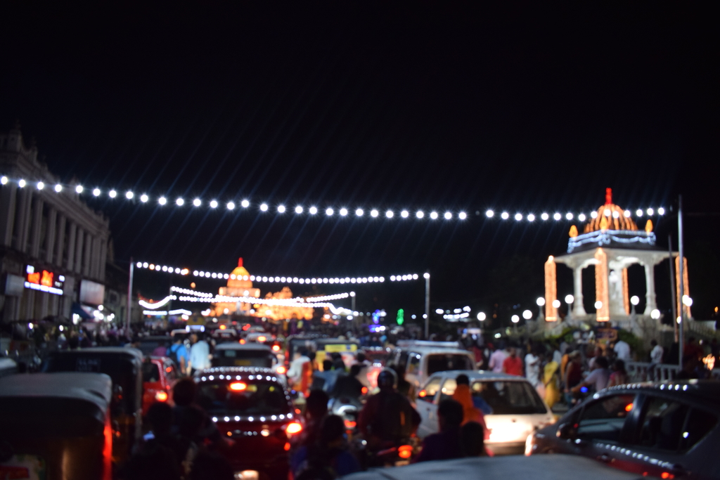 Mysore Dasara. MemExp Blog. Rohan Goel