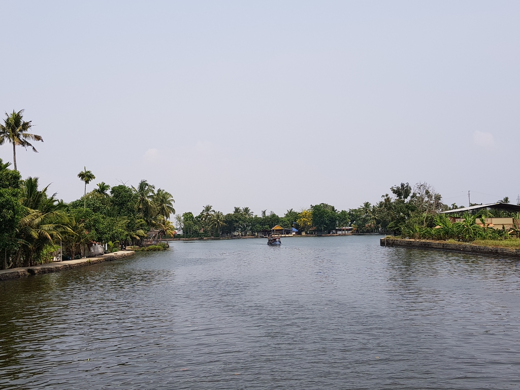 Backwaters at Alleppey. Alleppey + Kochi. MemExp Blog