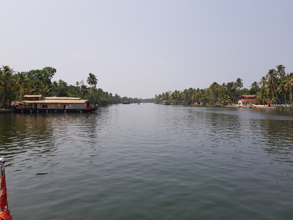 Backwaters at Alleppey. Alleppey + Kochi. MemExp Blog