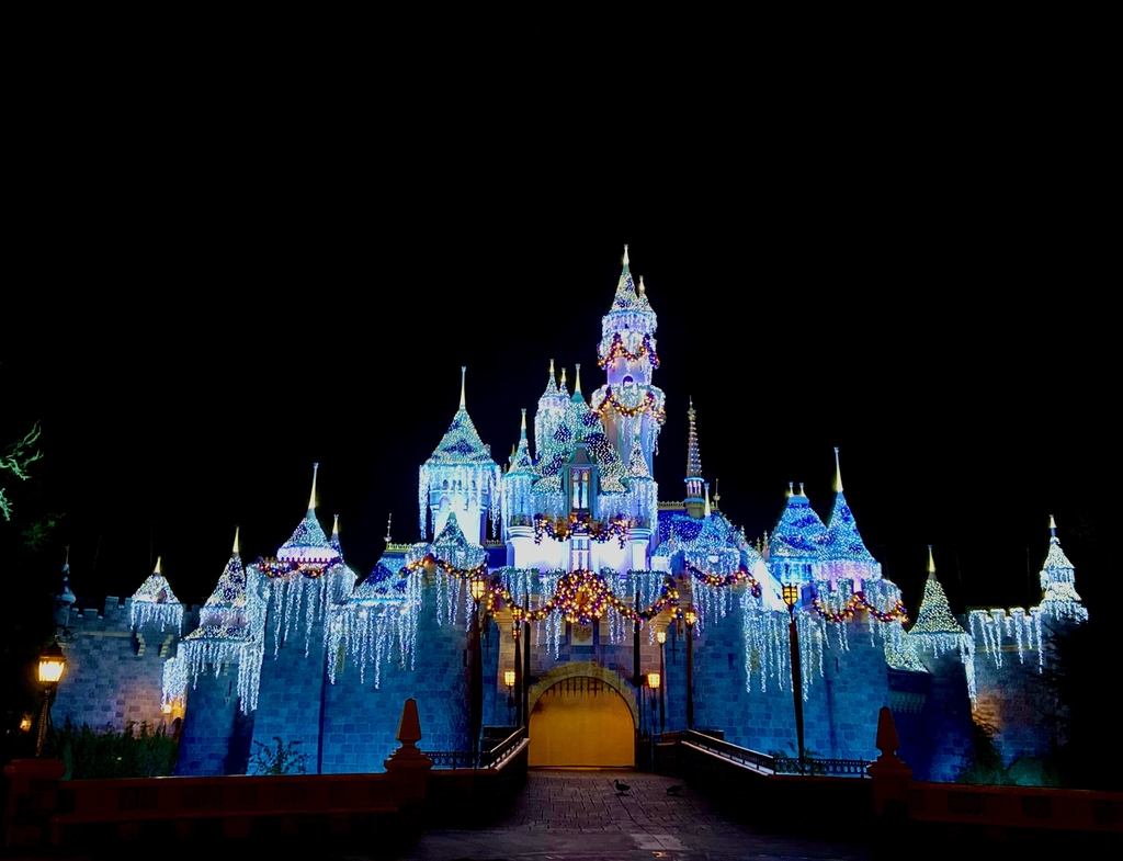 Magical Land of Disney. MemExp Blog. Rohan Goel