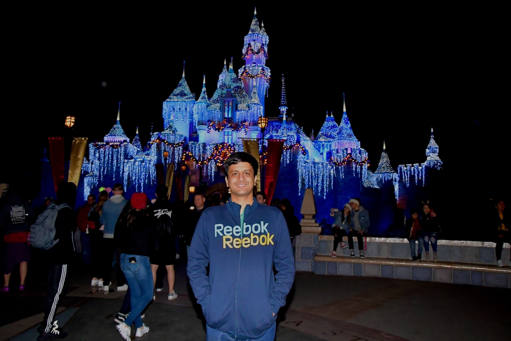 =Magical Land of Disney. MemExp Blog. Rohan Goel