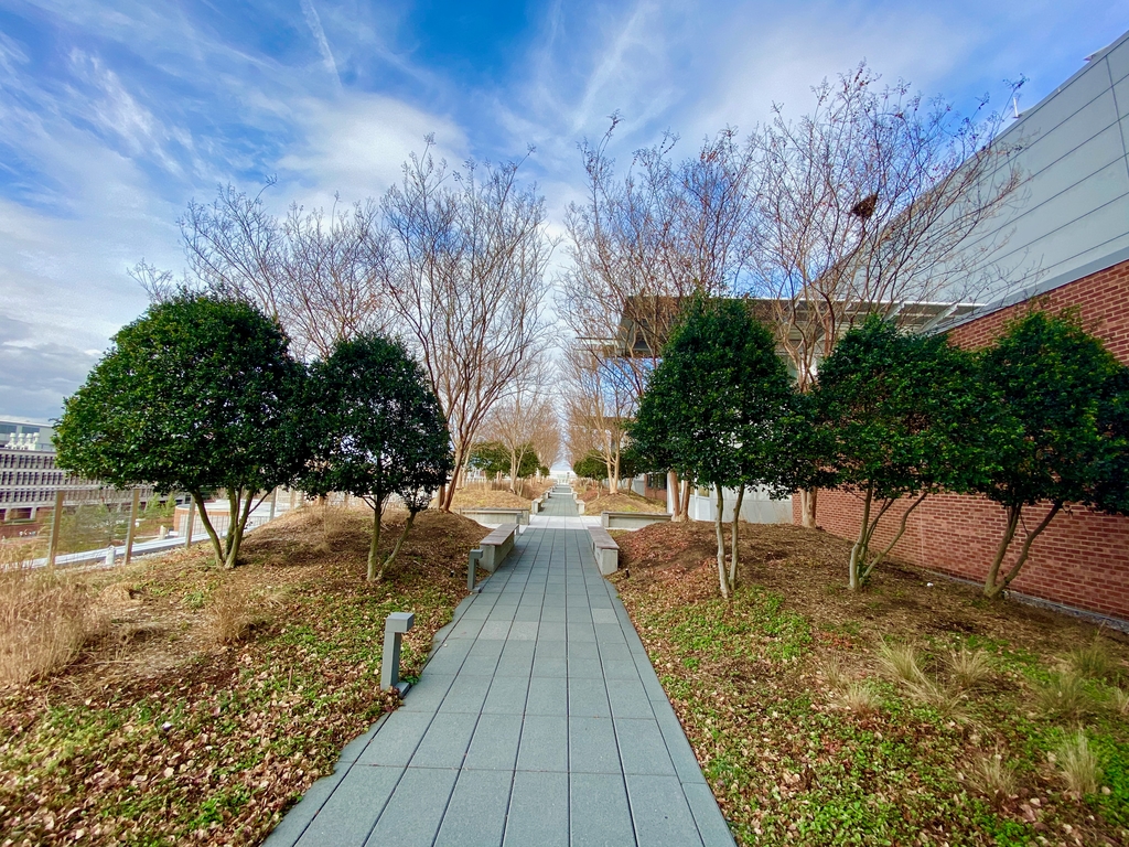 Fall @ GaTech. MemExp Blog. Rohan Goel